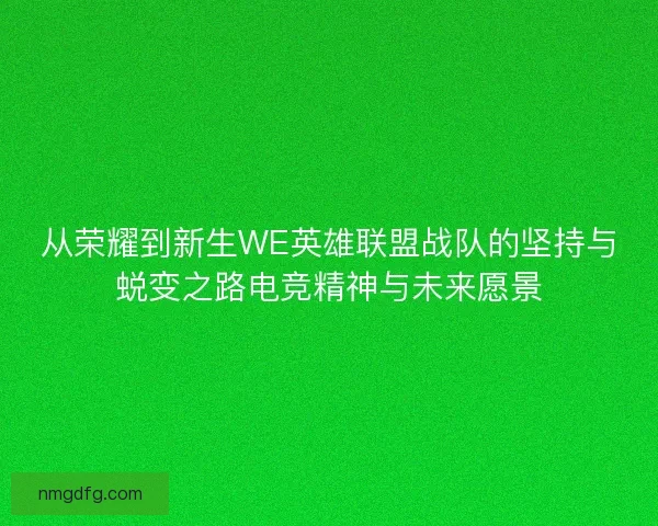 从荣耀到新生WE英雄联盟战队的坚持与蜕变之路电竞精神与未来愿景