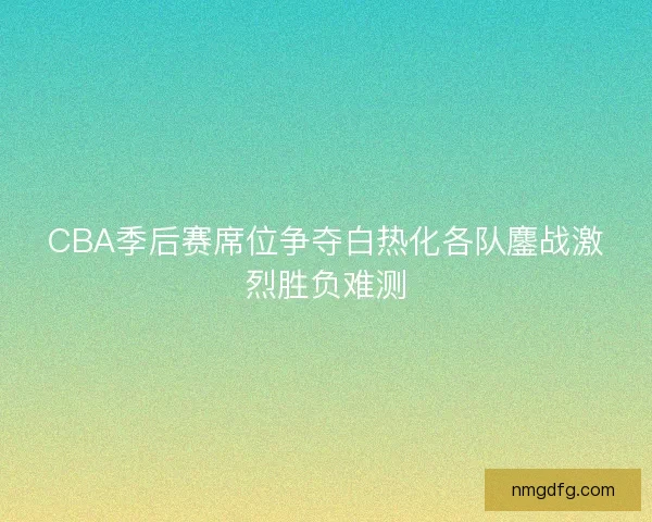 CBA季后赛席位争夺白热化各队鏖战激烈胜负难测 CBA季后赛席位争夺白热化各队鏖战激烈胜负难测