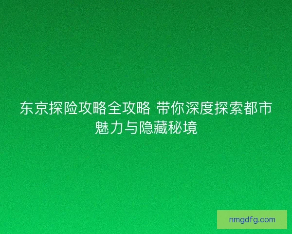 东京探险攻略全攻略 带你深度探索都市魅力与隐藏秘境