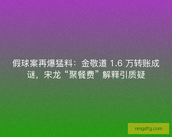 假球案再爆猛料：金敬道 1.6 万转账成谜，宋龙 “聚餐费” 解释引质疑